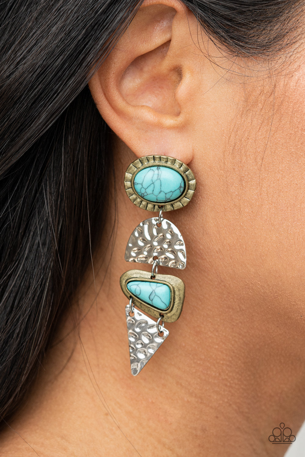 Earthy Extravagance - Multi earrings