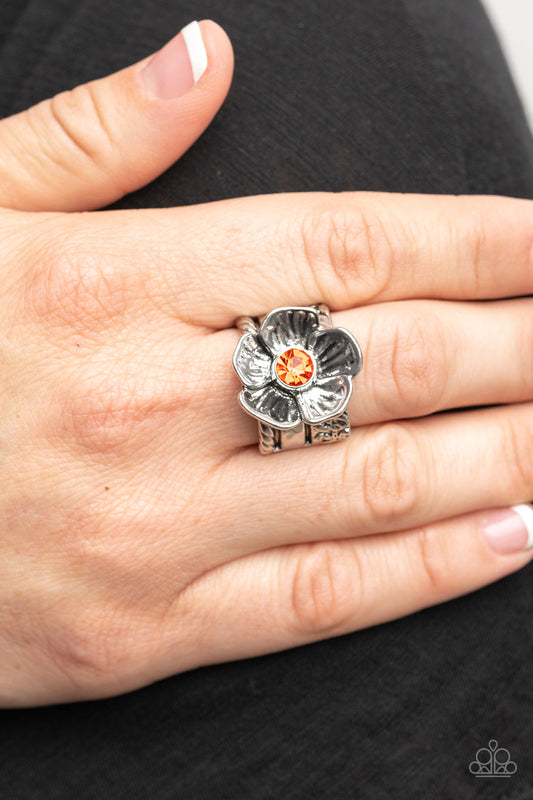 Prismatically Petunia - Orange ring