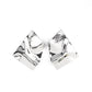 Modern Maverick - Silver earrings