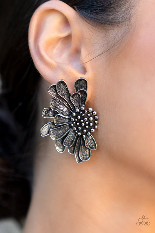 Farmstead Meadow - Silver earrings LOP april 22'