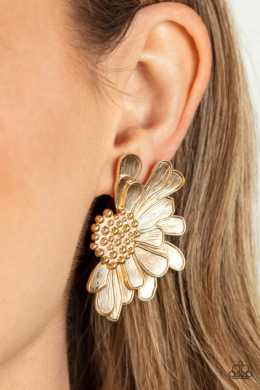 Farmstead Meadow - Gold earrings