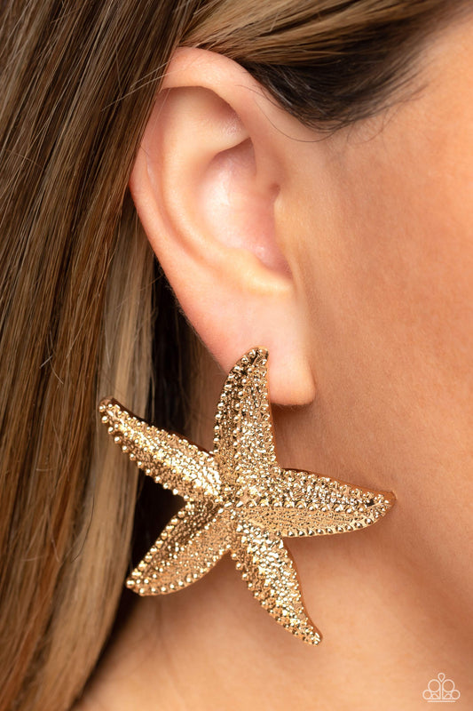Starfish Season - Gold earrings