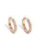 Glowing Praise - Gold earrings